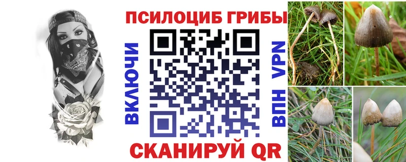 мориарти наркотические препараты  Кисловодск  Псилоцибиновые грибы Psilocybine cubensis 