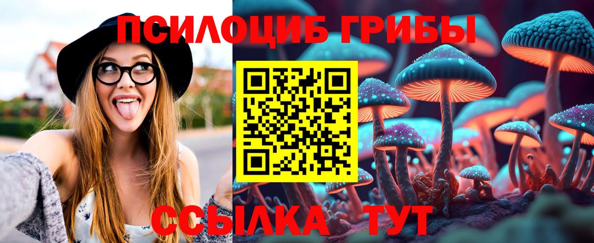 Псилоцибиновые грибы мицелий Кисловодск