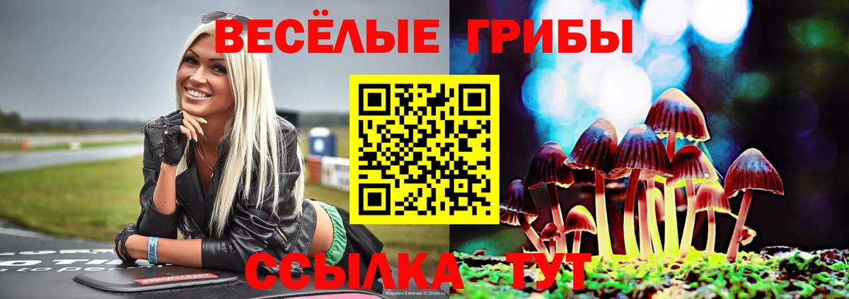 Кисловодск  Псилоцибиновые грибы GOLDEN TEACHER  Вход с VPN 